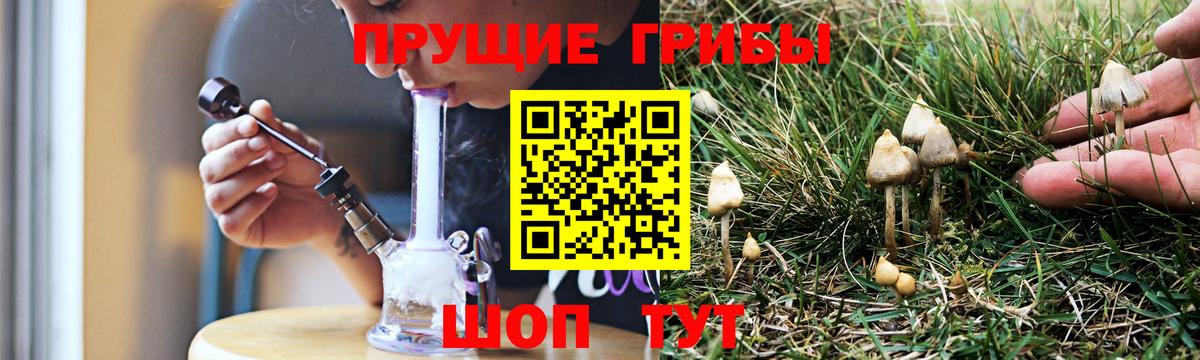 Псилоцибиновые грибы Psilocybine cubensis Сарапул